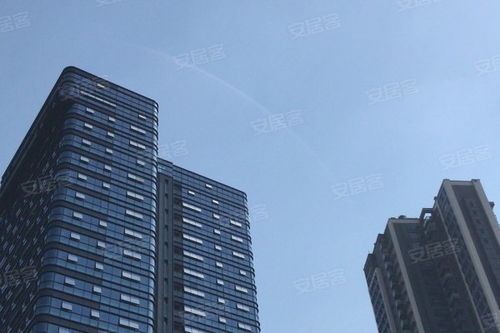 金地壹粵府綜合評析 優勢、不足與市場口碑